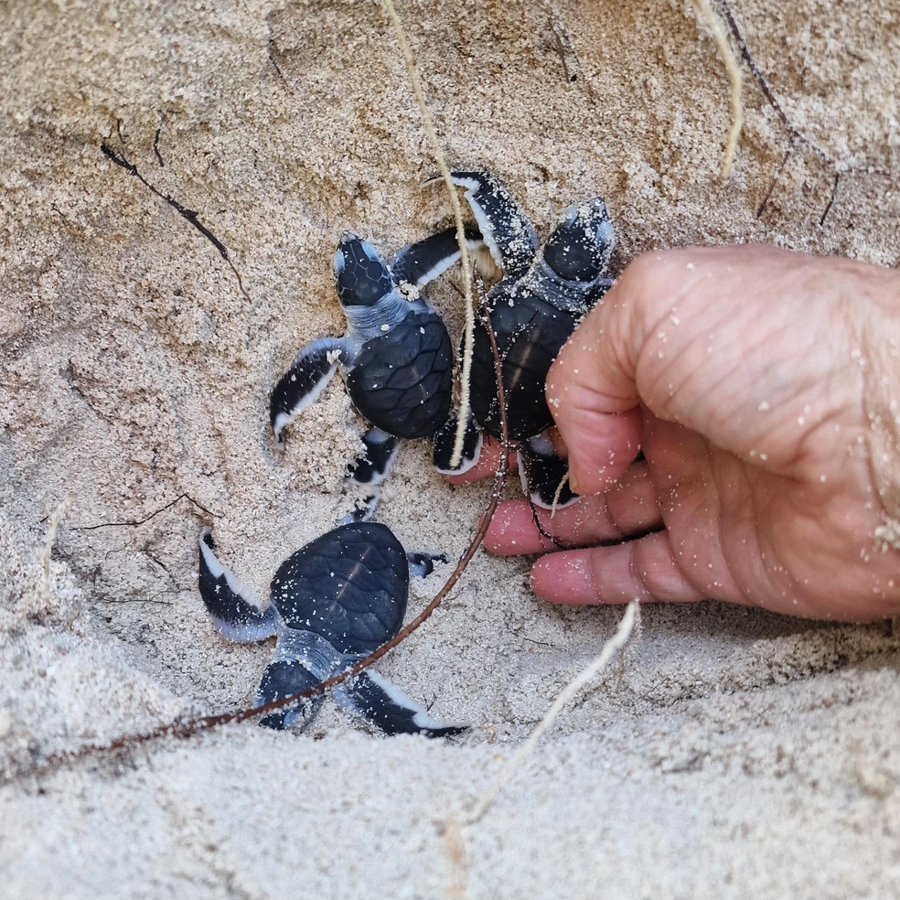 Источник: Светлана Ёлкина / MSK1.RU