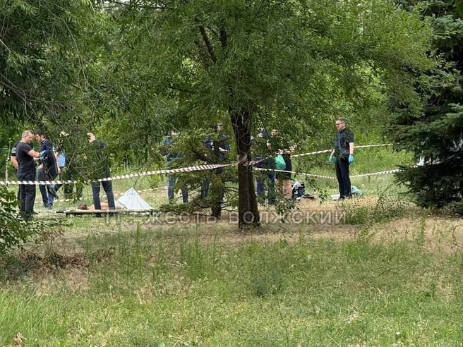 Как сообщает автор фото, на трупе обнаружили явные признаки насильственной смерти | Источник: Жесть Волжского / T.me