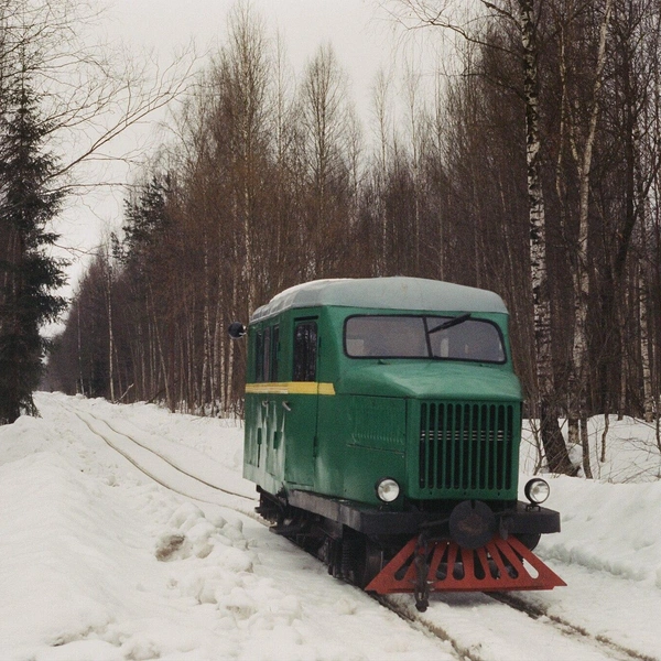 Источник: Svetlov Artem, CC0, via Wikimedia Commons