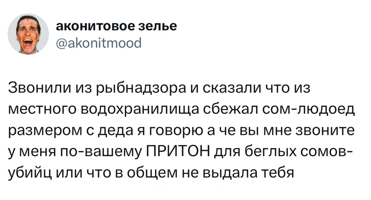 Источник: X (Twitter)