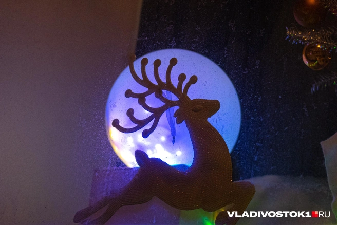 Источник: Елена Буйвол / VLADIVOSTOK1.RU