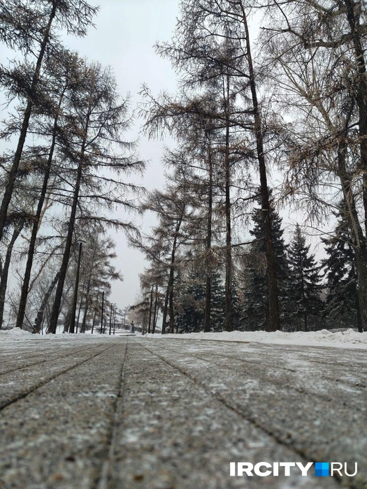 Пустынные улицы | Источник: Ксения Филимонова / «ИрСити»
