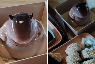 Trendy 'Living' Dessert Arrives in Arkhangelsk, Wobbles When Tapped