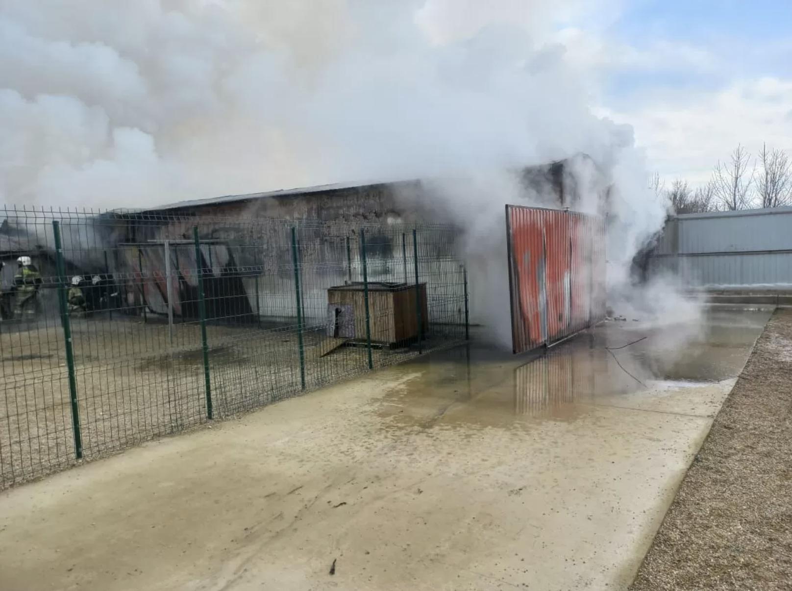 В ауле Тугургой под Краснодаром произошел пожар в зверином приюте - 7 марта  2022 - 93.ру