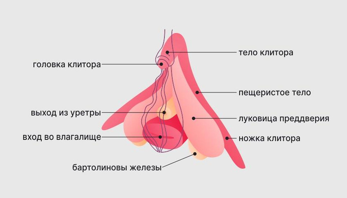 Изображение пользователя