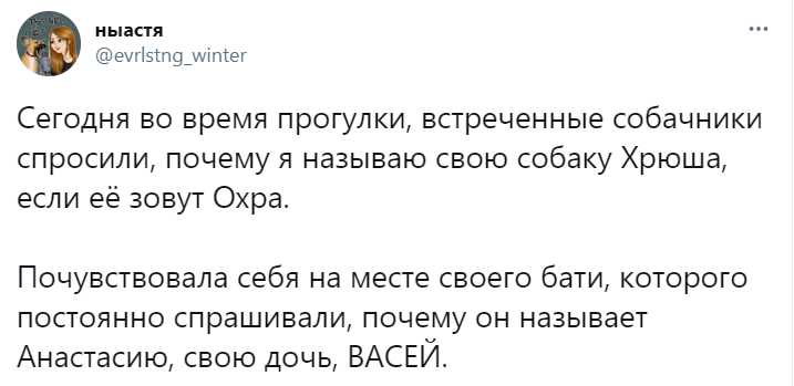 Шутки субботы и памятка для разговоров с кошкой