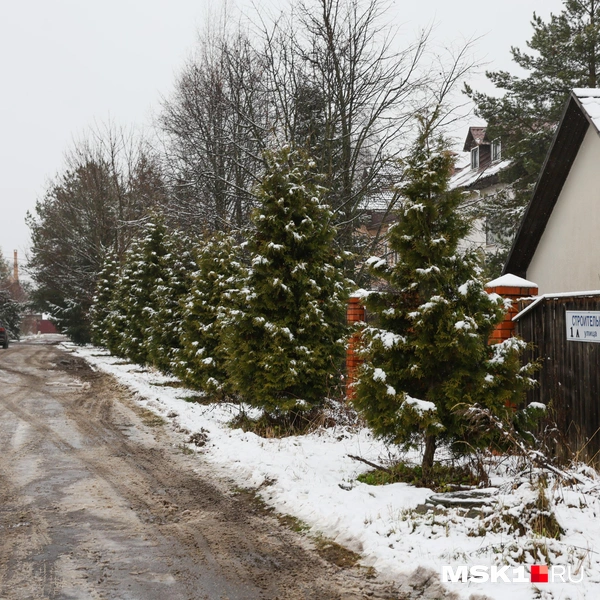 Источник: Артем Устюжанин / MSK1.RU