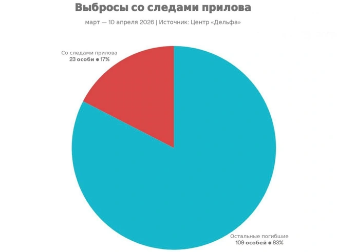 Данные о выбросах со следами | Источник: Delfacenter / T.me