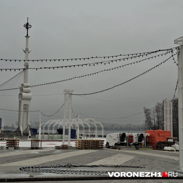 Источник: Алёна Воропаева / Voronezh1.ru