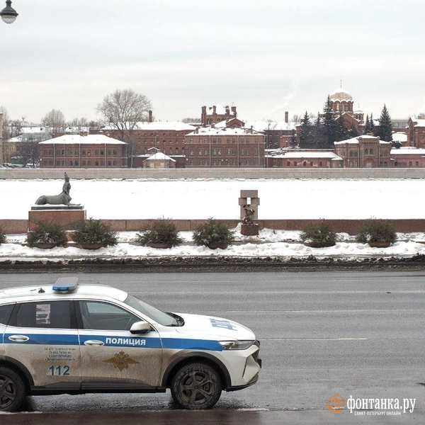 Источник: Михаил Огнев / «Фонтанка.ру»