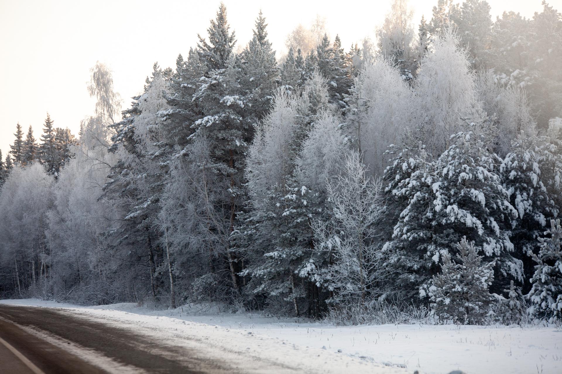В Тюменской области расширят трассу до Тобольска. Когда это сделают?