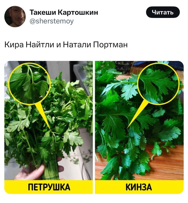 Источник: X (Twitter)