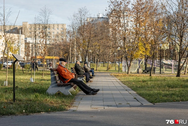 Но отдыхать на скамейке куда приятнее, конечно. | Источник: Александр Куренной / 76.RU