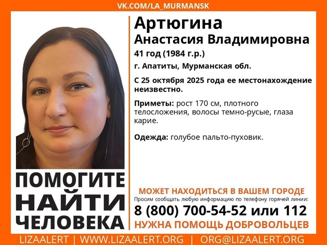 Источник: поисковый отряд «ЛизаАлерт» Мурманской области / Vk.com