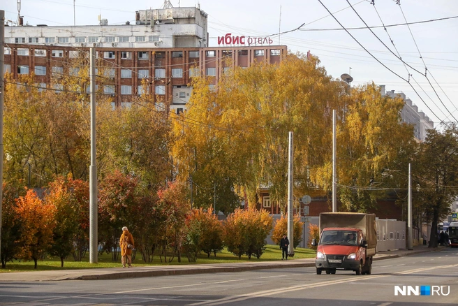 Листья на деревьях уже начали осыпаться | Источник: Наталья Бурухина / NN.RU