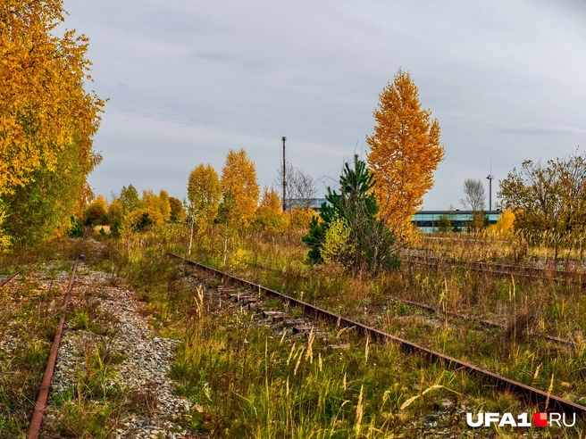 Рельсы заржавели | Источник: Булат Салихов / UFA1.RU