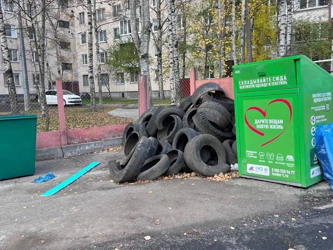 Узнаёте свой двор? Вот такую картину увидел наш корреспондент в Невском районе у дома 2 на Товарищеском проспекте. | Источник: FONTANKA.RU