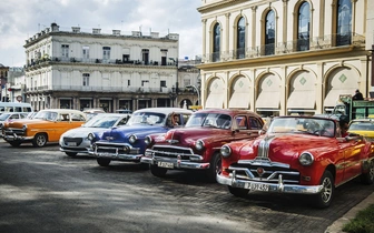 Дорожные тренды: автомобильные предпочтения в разных странах мира