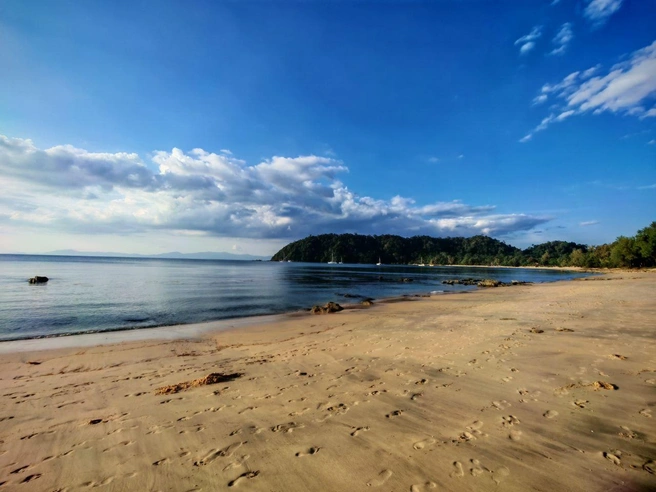 Ольга вылетали из Новосибирска 15 декабря | Источник: Читательница Ольга