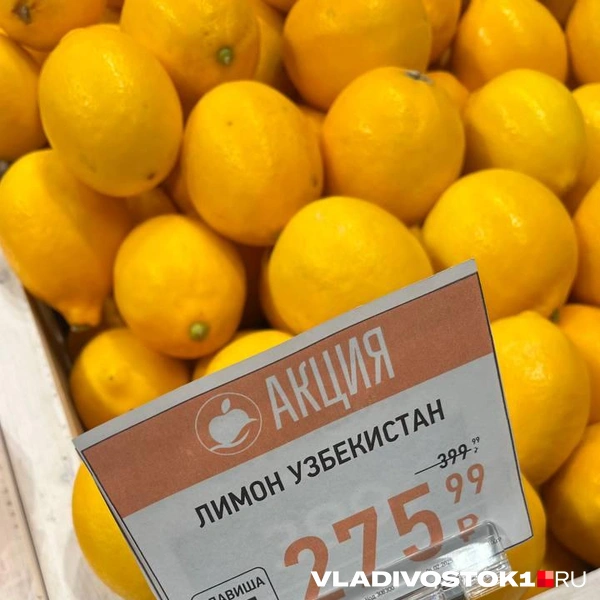 Источник: Елена Буйвол / VLADIVOSTOK1.RU