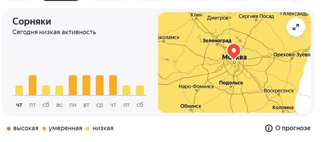 Не отпускают столицу и сорняки | Источник: «Яндекс. Погода»