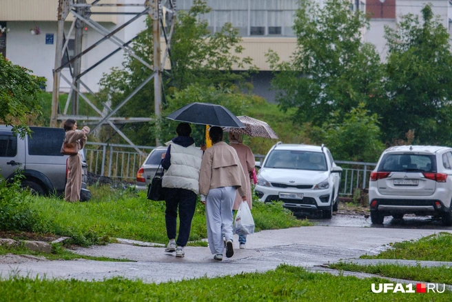 Дождь не помеха для деловых вылазок | Источник: Булат Салихов / UFA1.RU