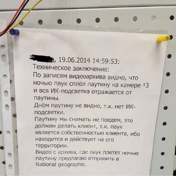 Источник: соцсети