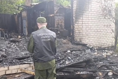Гибель троих на пожаре в Дедовичском районе: возбуждено дело