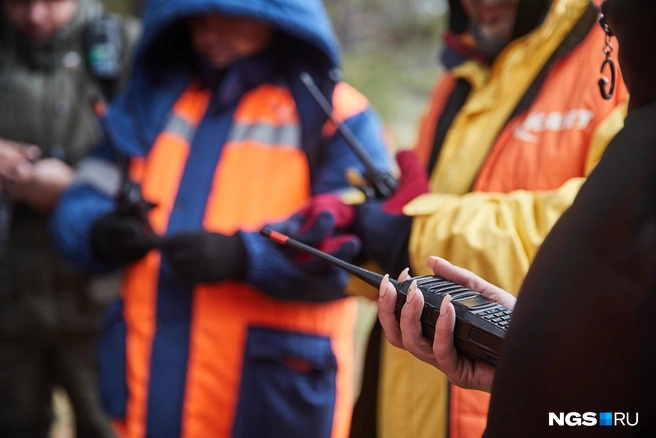 К поиску мальчика подключился отряд «Лиза Алерт» | Источник: Александр Ощепков / NGS.RU