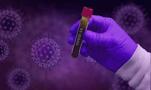 Фото №1 - Китай передал ВОЗ данные генома коронавируса, вспышку которого выявили на пекинском рынке