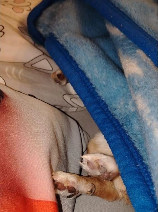 Вот что значит фраза «прятаться от холода» | Источник: читательница НГС Юлия