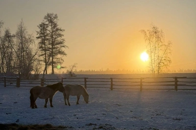 В Забайкалье на неделе ударят морозы до 48 градусов