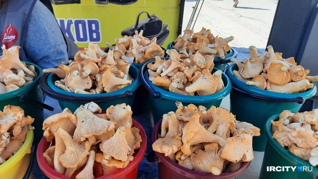 На центральном рынке появились грибы  | Источник: Виктор Лучкин / «ИрСити»