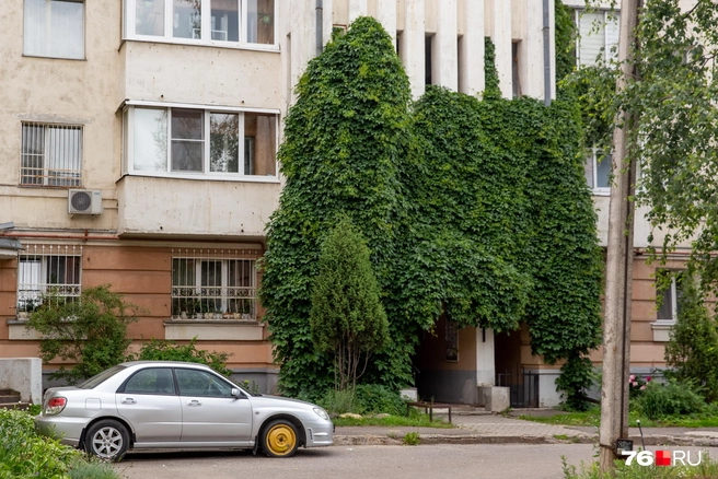 Тайный проход в другой мир? Нет. Это просто обросший листвой подъезд | Источник: Кирилл Поверинов / 76.RU