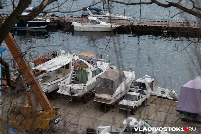 Времени у владельцев много | Источник: Елена Буйвол / VLADIVOSTOK1.RU
