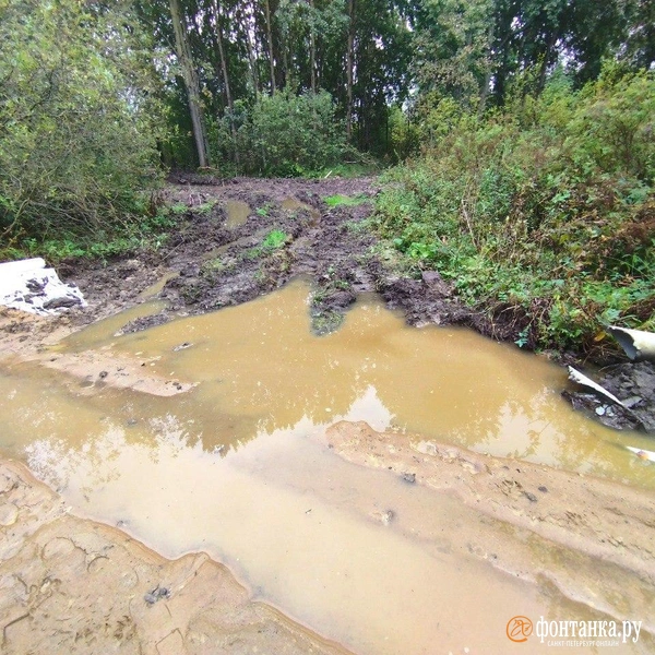 Источник: Ольга Ясененко