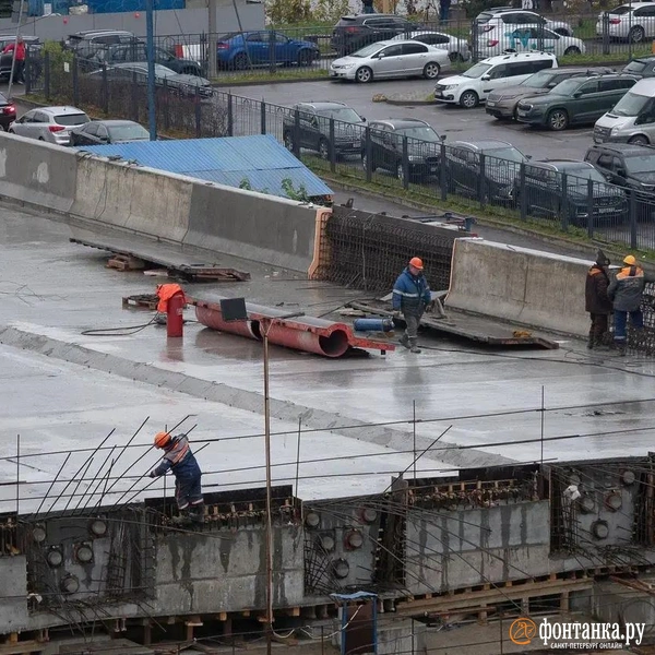 Источник: Сергей Николаев / «Фонтанка.ру»