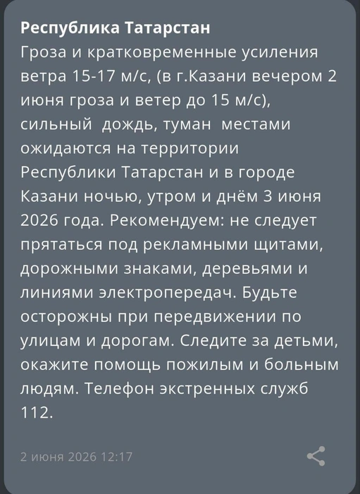 Источник: МЧС по РТ 