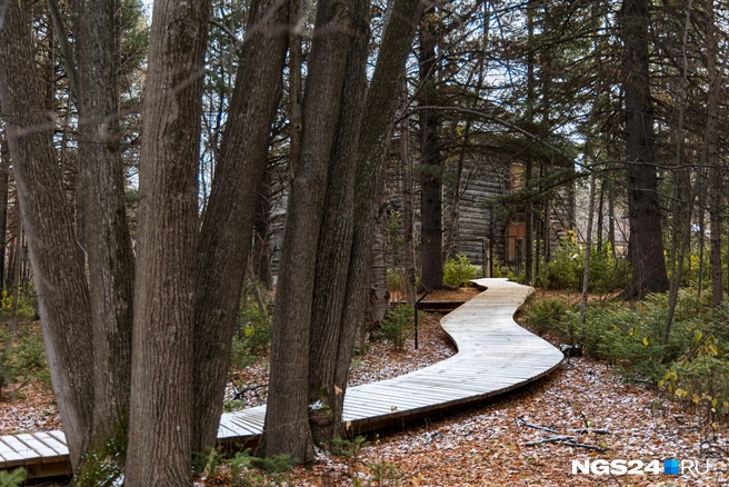 Дендросад | Источник: Мария Ленц / NGS24.RU