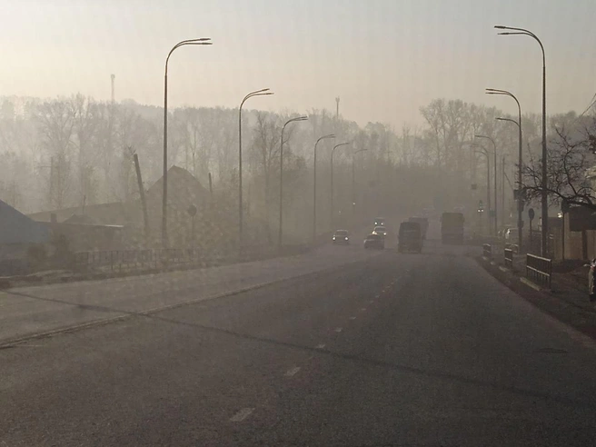 Источник: Mark Mikhaylov / Telegram 