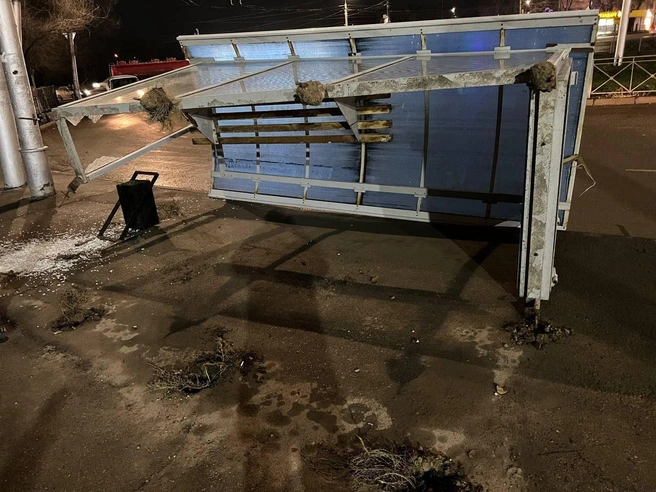 В тот злополучный вечер дул сильный ветер, который опрокинул остановку на женщину | Источник: Прокуратура Саратовской области / Telegram