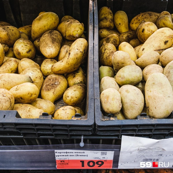 Картошка из Египта | Источник: Тимофей Калмаков / 59.RU
