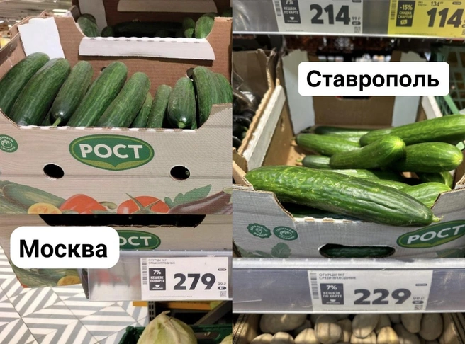 Килограмм огурцов в Москве дороже на 22% | Источник: Габриелла Захарова / 26.RU