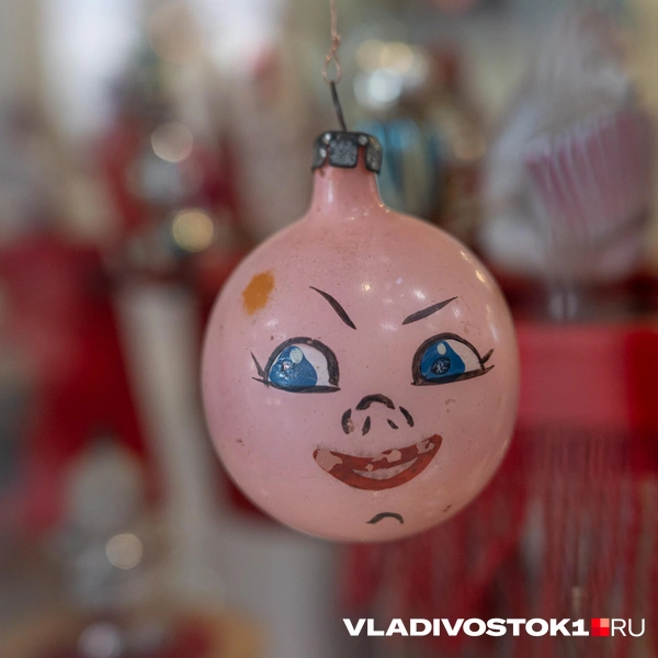 Источник: Елена Буйвол / VLADIVOSTOK1.RU