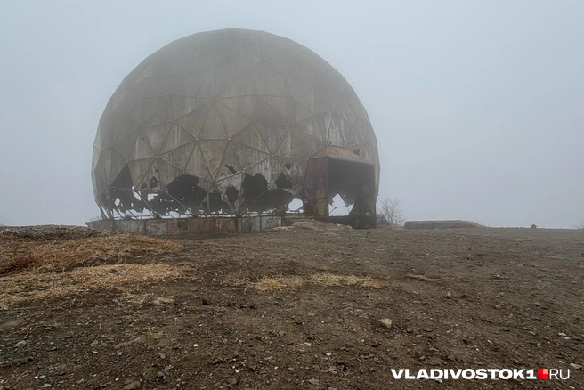 Источник: Елена Буйвол / VLADIVOSTOK1.RU