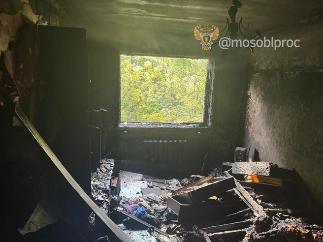 Их там не должно было быть. Взрослые и дети в Подмосковье приехали в гости и погибли | Источник: прокуратура Московской области