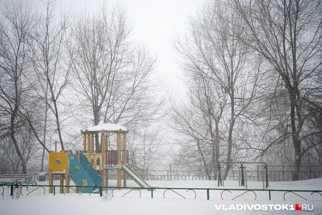 Источник: Елена Буйвол / VLADIVOSTOK1.RU
