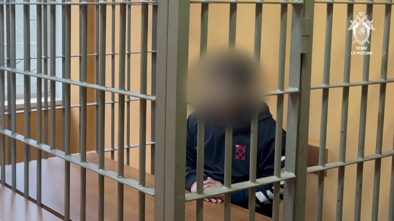 Дело против мужчины, напавшего на девятилетнюю девочку в Солнечном, переквалифицировали