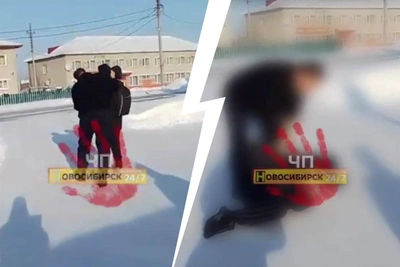 School Bus Driver Attacks Teenager in Novosibirsk Region