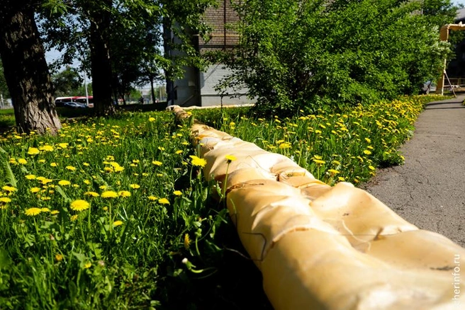 Источник: st.cherinfo.ru